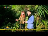 S - VIỆT NAM: KHÁM PHÁ RỪNG QUỐC GIA TAM ĐẢO - 27/01/2015 [FULL HD]