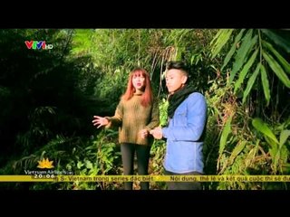 S - VIỆT NAM: KHÁM PHÁ RỪNG QUỐC GIA TAM ĐẢO - 27/01/2015 [FULL HD]