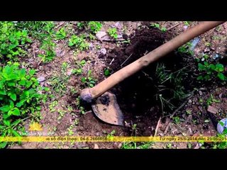 S VIỆT NAM: TOUR TRẢI NGHIỆM NGƯỜI LÀM VƯỜN