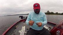 How to Rig a Punch Rig for Heavy Cover Bass Fishing