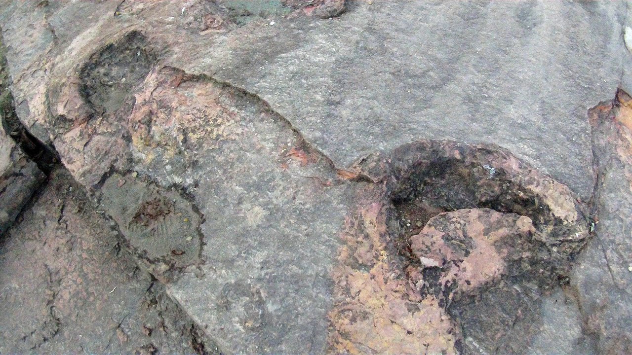 Sur les traces du dinosaurus Ballus