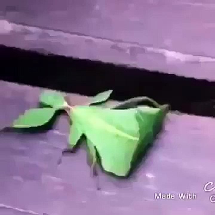 Allah Ki Qudrat
