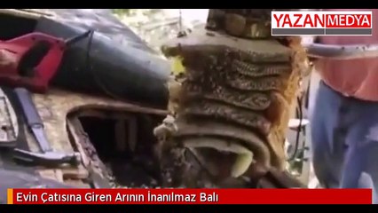 Evin Çatısını Açan Adama Büyük Şok