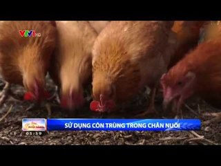 CHÀO BUỔI SÁNG - 17/10/2015