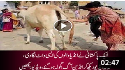 Pakistani Singer Troubled Indians By Singing This Song