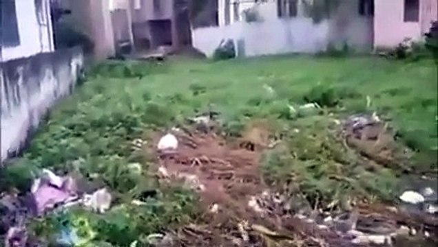 Earthquake LIVE Video in india today 26-10-2015 _ Earthquake of magnitude 7.5 hits North India