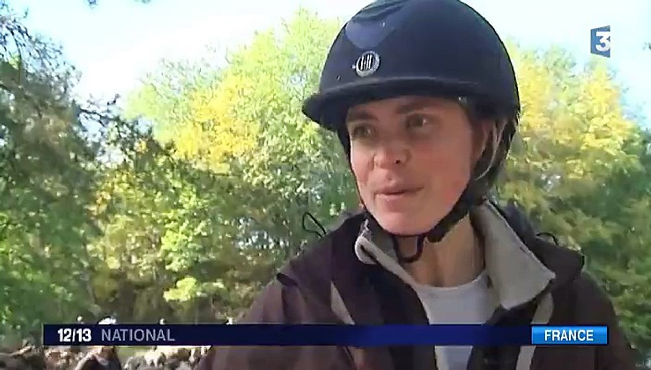 La Trans'Henson attire de nombreux passionnés