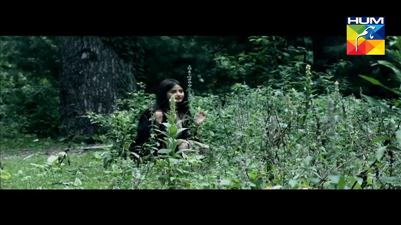 Gul E Rana Dramas on Hum Tv