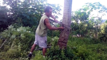 شوفو ملا عفسة موش نورمال !