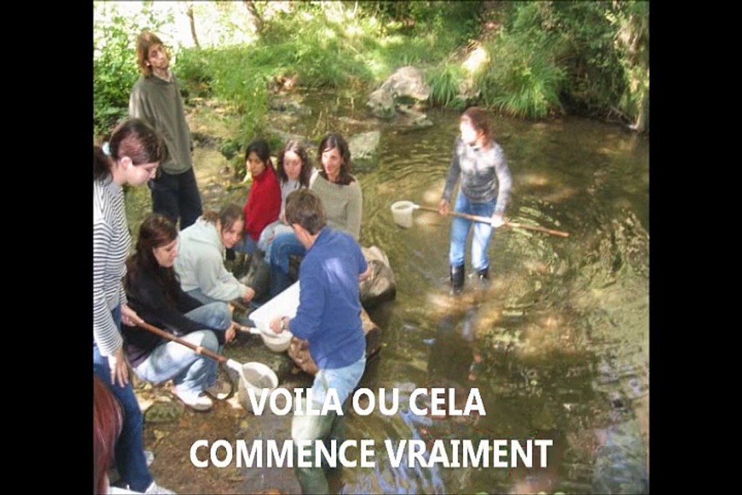 Bon Anniversaire! copine!