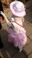 VID-20151016-WA0013.3gp