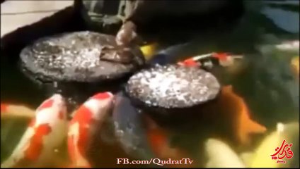 If there is a place in your heart.