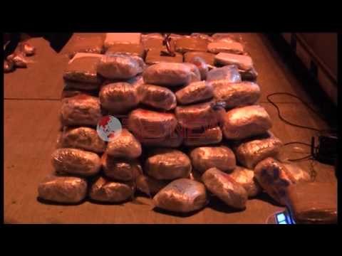Droga nga Bushati në Milano, kapen 1 ton kanabis në trajlerin me dru - Ora News- Lajmi i fundit-