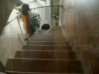 No donis l'esquena al món