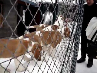 quand nous sommes allez cherché Géant du pays du mont blanc