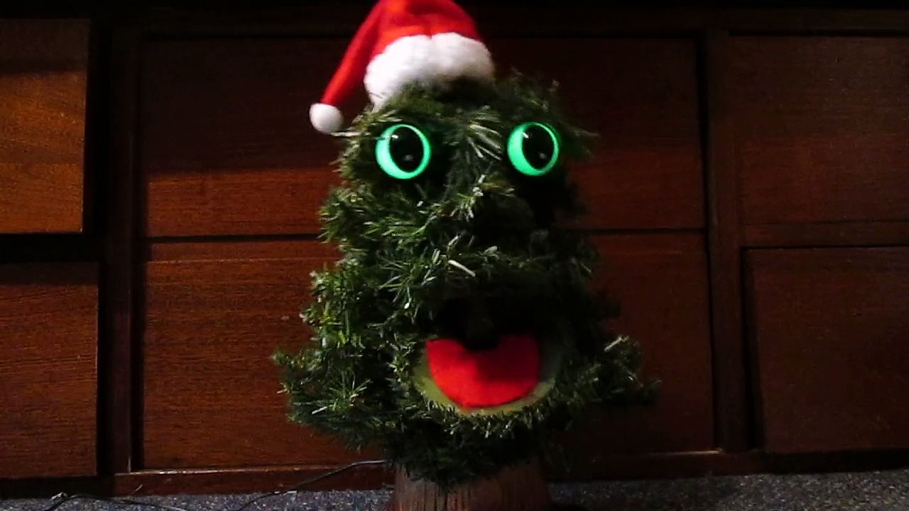 Dancing Douglas fir