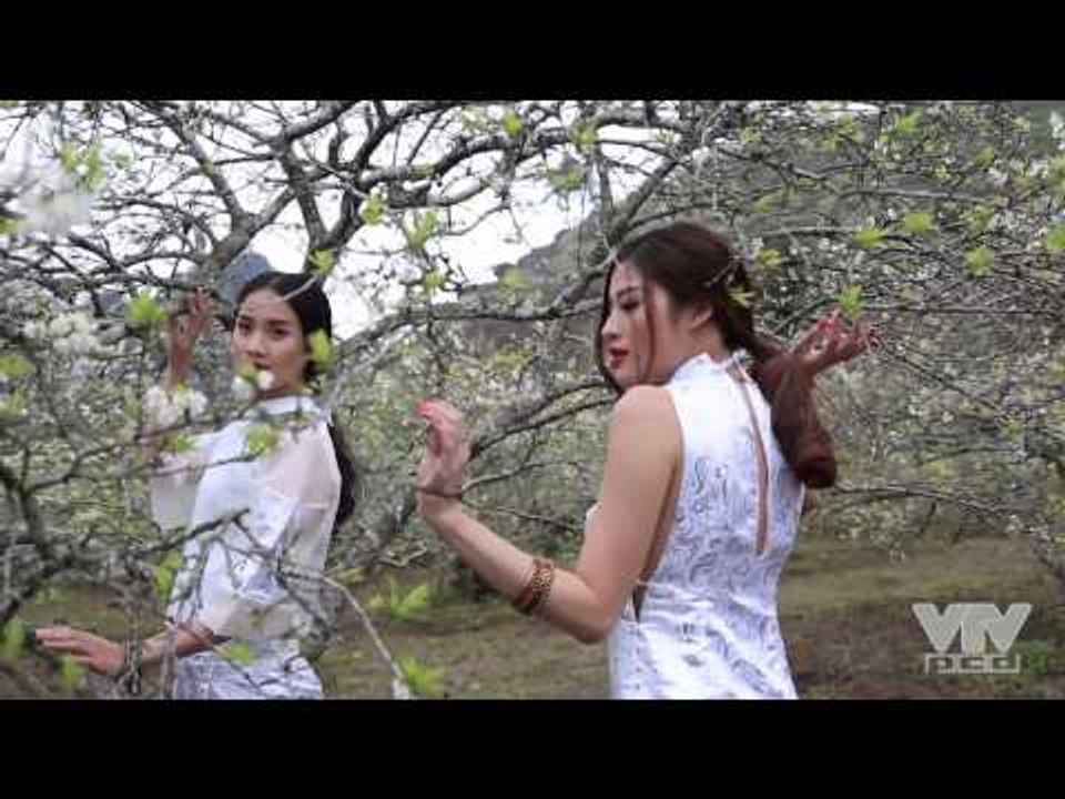 LÀM ĐẸP:  VŨ KHÚC GẤM LỤA (TRAILER)