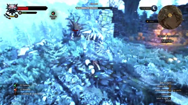 CONTRAT FILS DISPARU