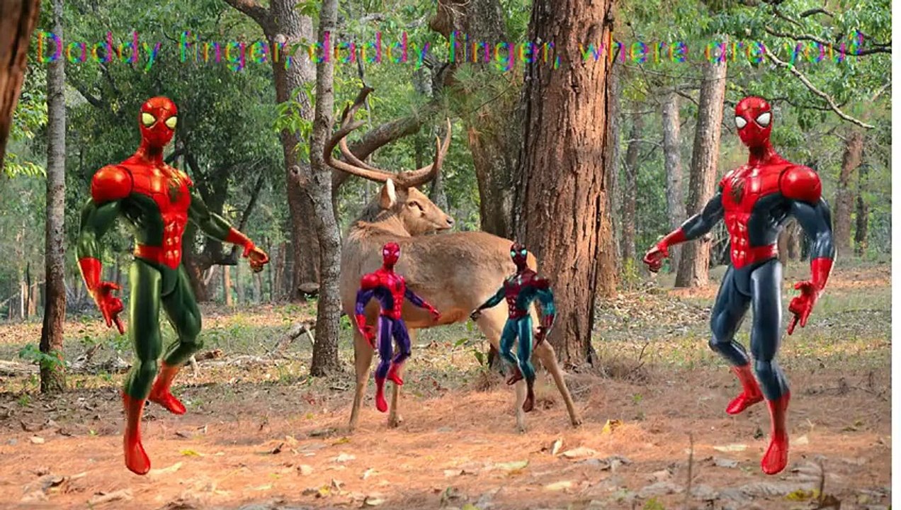 Deer Spiderman Finger Family Cartoon Animation Nursery Bikes Water Shoots Finger Family So