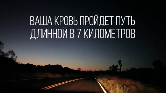 Что делает ваше тело за 30 секунд