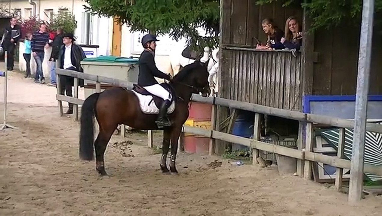 King cso cce club 3 Centre Equestre du Moulin