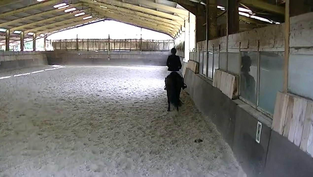 King dressage cce club 3 Centre Equestre du Moulin