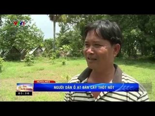 CHÀO BUỔI SÁNG - 25/09/2015