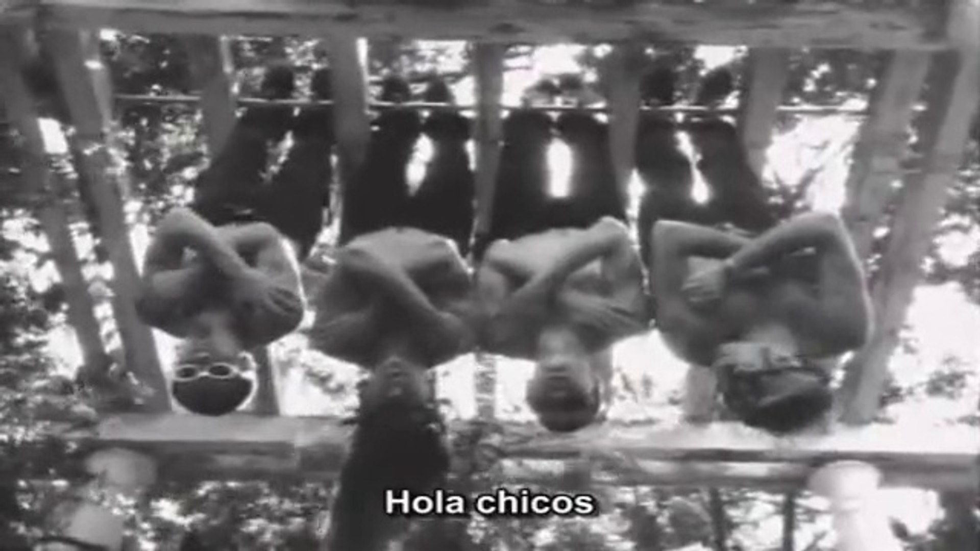 Red Hot Chili Peppers - Funky Monks Documentary [Spanish] - Vídeo  Dailymotion