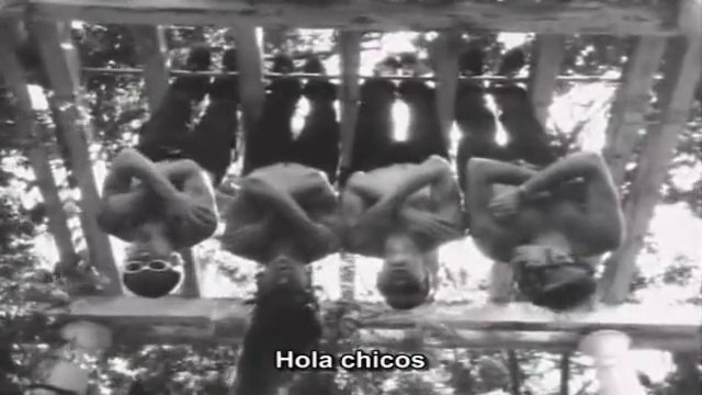 Red Hot Chili Peppers - Funky Monks Documentary [Spanish]