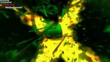 The Most Extreme Body Parts - National Geographic ( Discovery Channel )