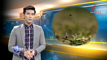 โลกธรรมชาติยุคใหม่ ตอน น้ำ 19CT15