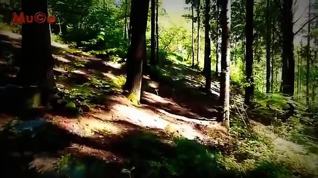 Ahmet Kaya - Yollarına Baka Baka