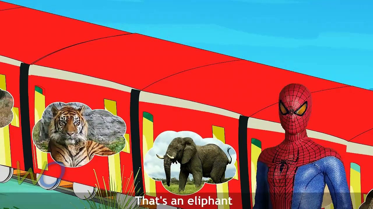 Popular Toddlers Rhymes | Learn The Wild Animal Baby Rhymes | Top Nursery Rhymes For Kids