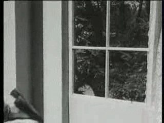 Armée Rouge : Les avions d'abord, les filles après