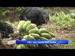 CHÀO BUỔI SÁNG - 09/10/2015