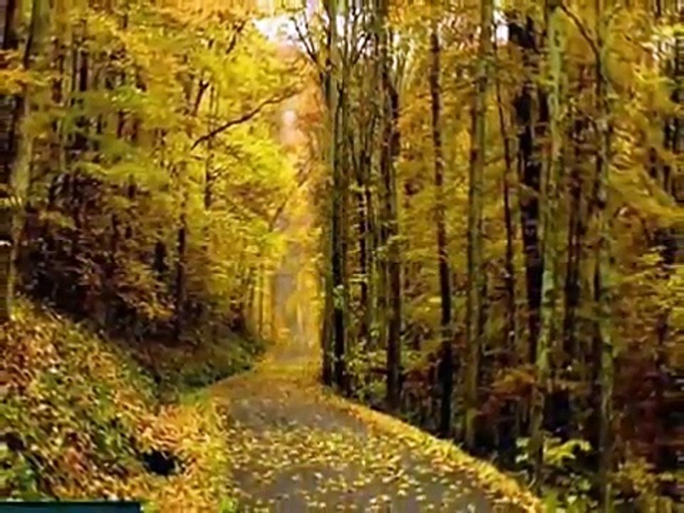 İbrahim Sadri - Yaz Bitti - Sesli Şiir