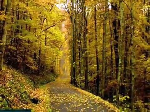 İbrahim Sadri - Yaz Bitti - Sesli Şiir