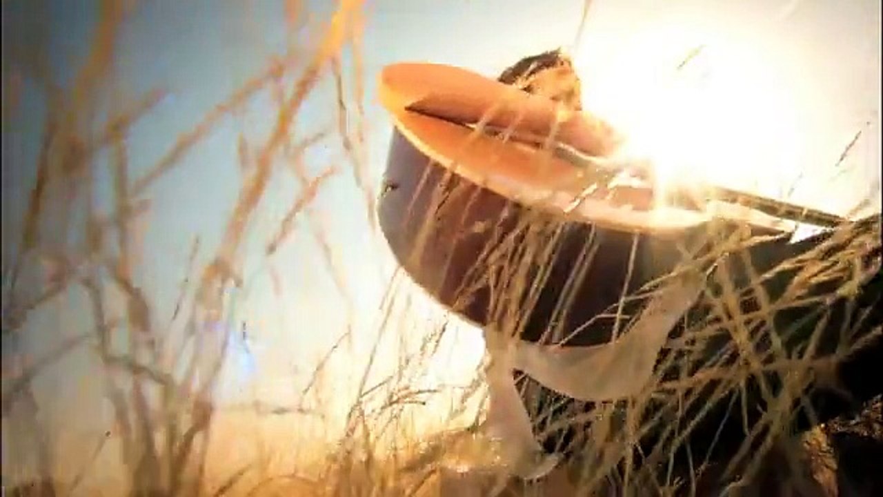 Watch Jo Chaho by Zoe Viccaji