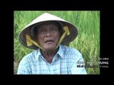 Phim Tài Liệu Ông Hai Chung - Chương trình VHKHXHGD - Ấn Tượng VTV