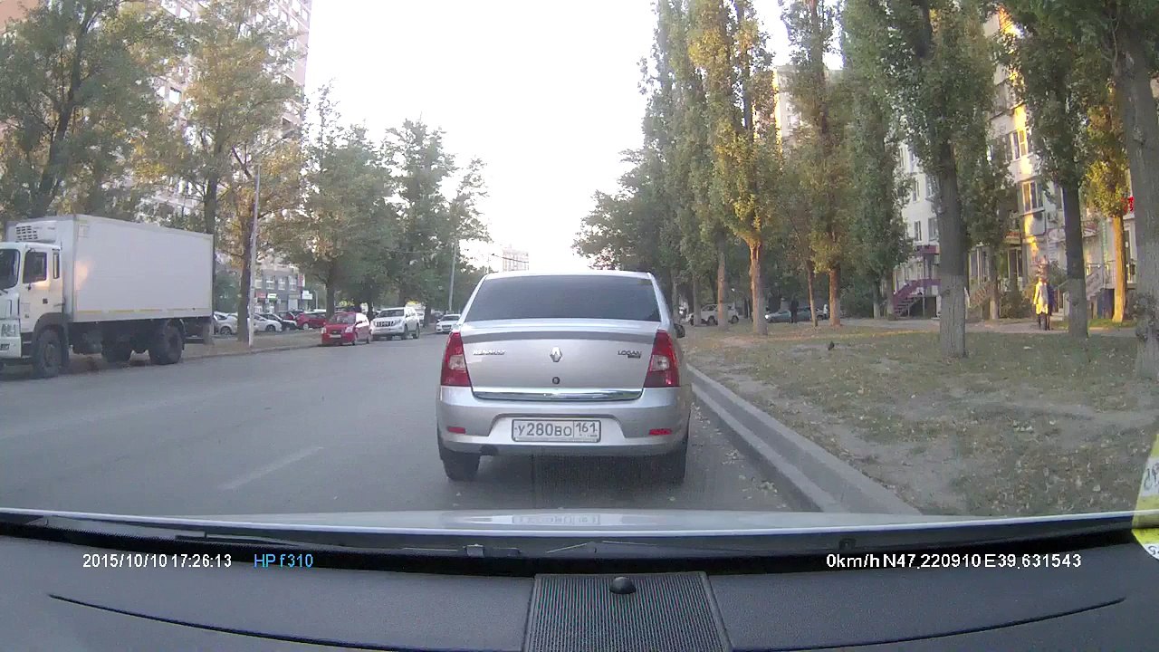 Pigeon has provoked an accident