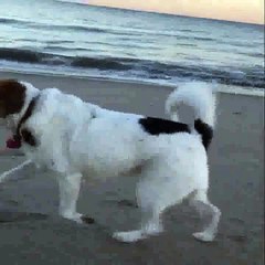 【週間】Vine芸術人気動画1分間まとめ / Funny Vine Art part3