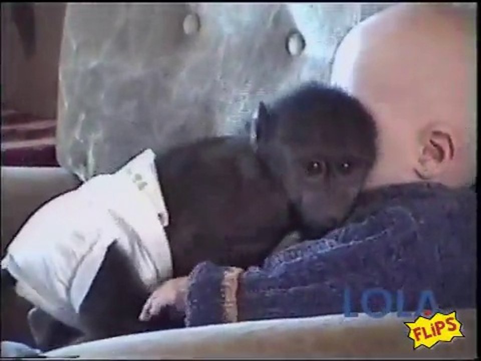 baby en aapje