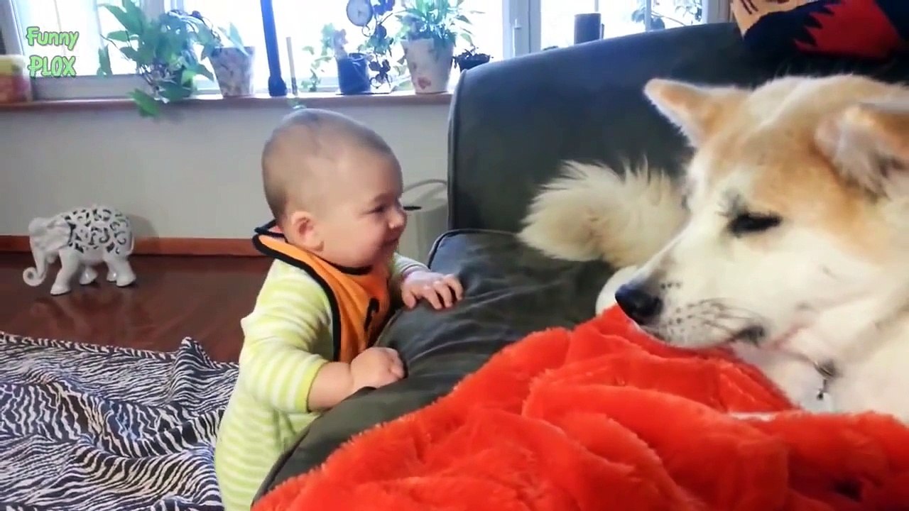 Funny Babies Talking to Dogs Compilation 2014