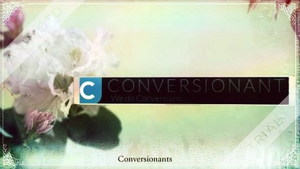 Optimized Web Design - Conversionants