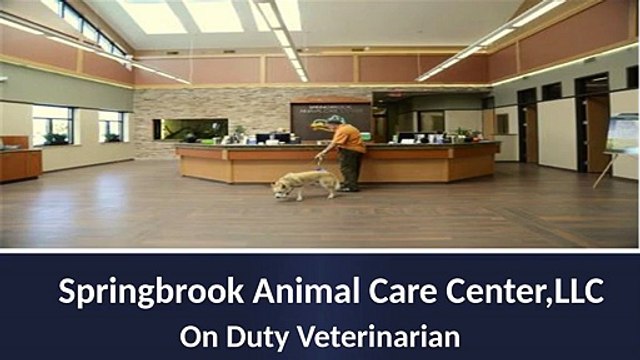 Springbrook Animal Care Center,LLC - Vet care in Naperville