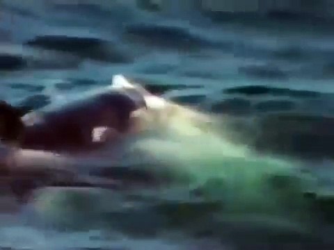 இ안산출장안마⒂〖010↔2672↔9102〗இ24시출장녀 군포출장안마 〖안산출장마사지〗