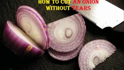 how to cut an onion without tears