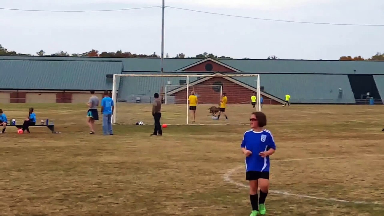 Running Deer invades kid's football game and scores goal!