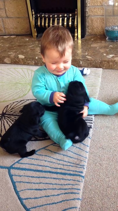 Two puppies hugs and kisses laughing Baby! Ooowww...