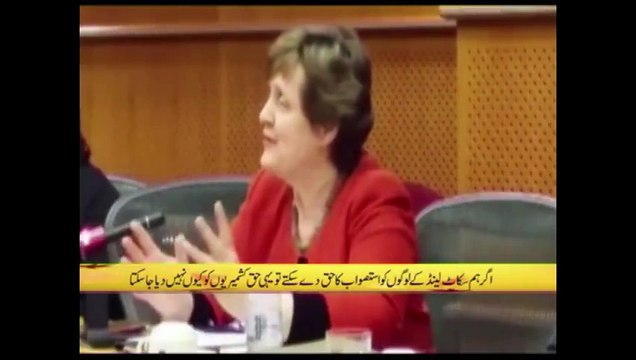 Indian brutalities in Kashmir have received severe criticism from European Union parliament members.